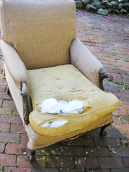 Circa 1940's Arm Chair, repaired and reupholstered